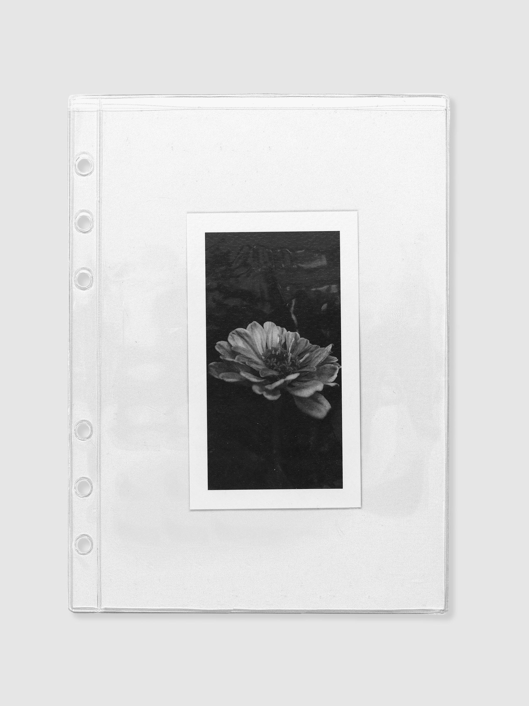 Document pocket displayed on a neutral background. A botanical card is displayed inside the pocket. Size shown is A5.