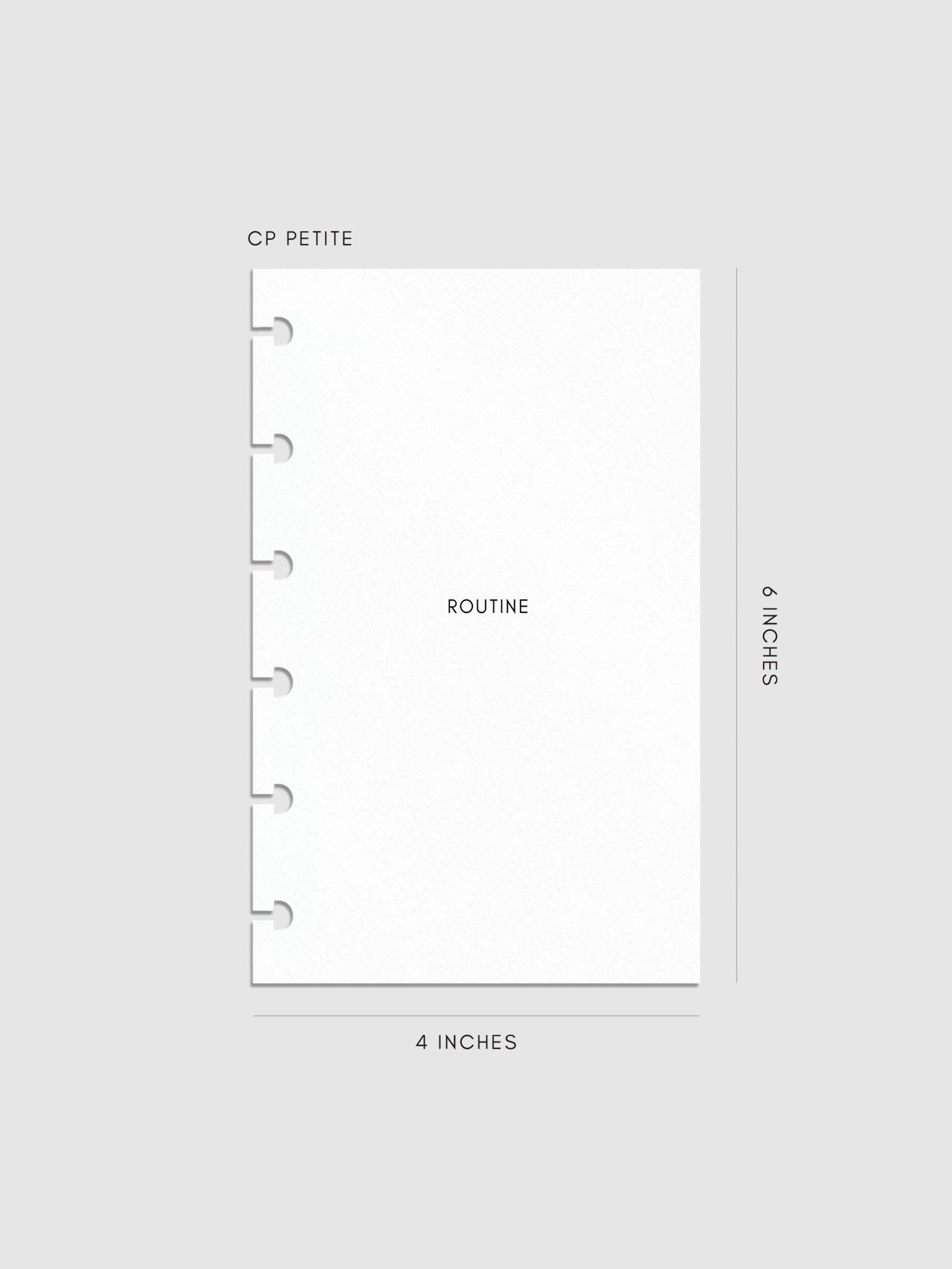 Digital mockup of insert in CP Petite sizing.