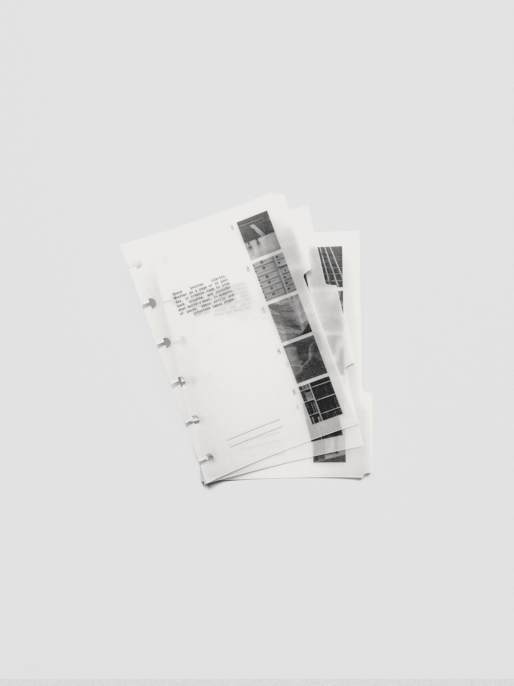CP Petite Editorial Vellum Dividers Vol. 2 displayed flat on a neutral background.