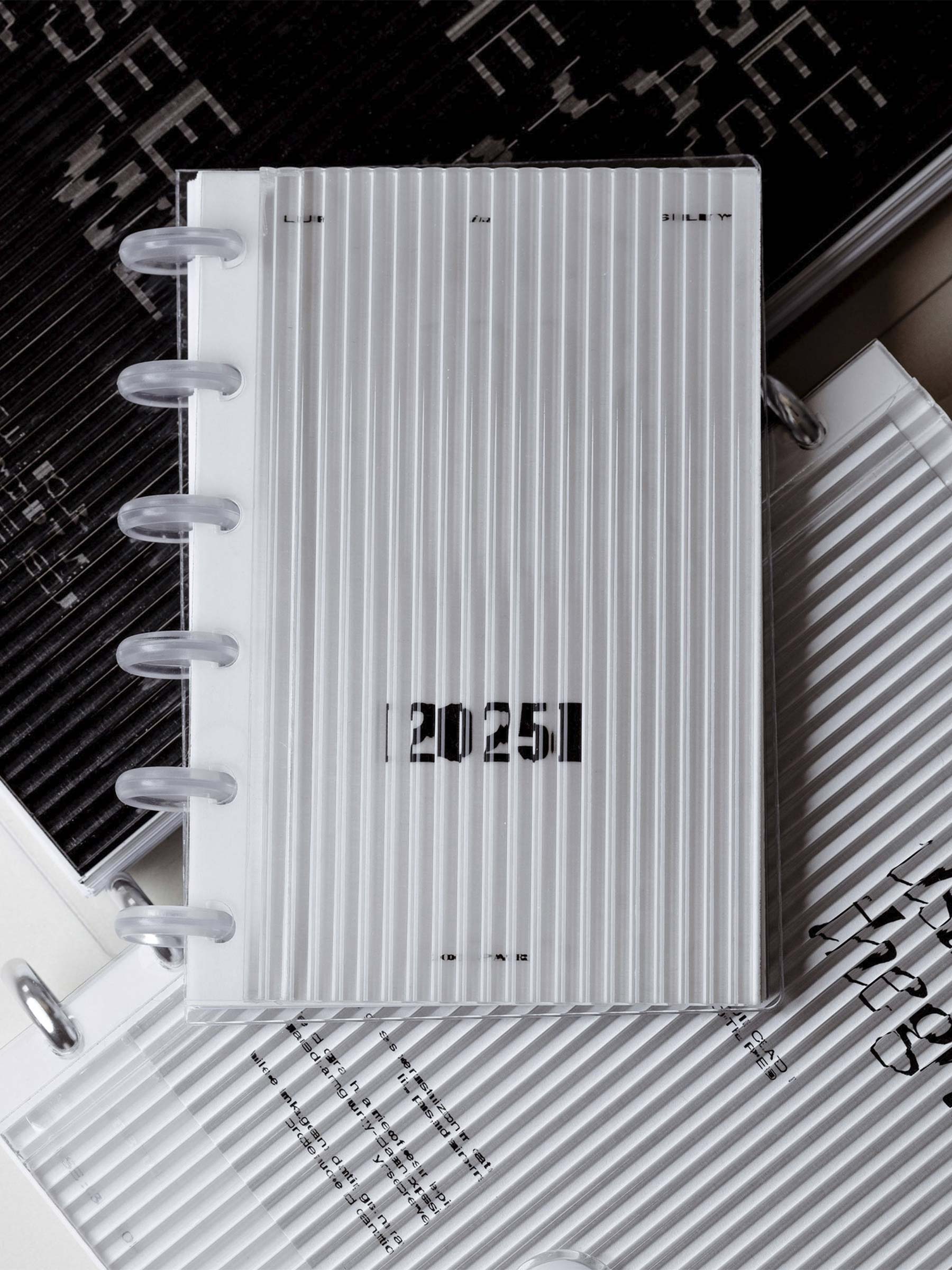 CP Petite Sized custom planner bundle featuring clear discs and a fluted dashboard.