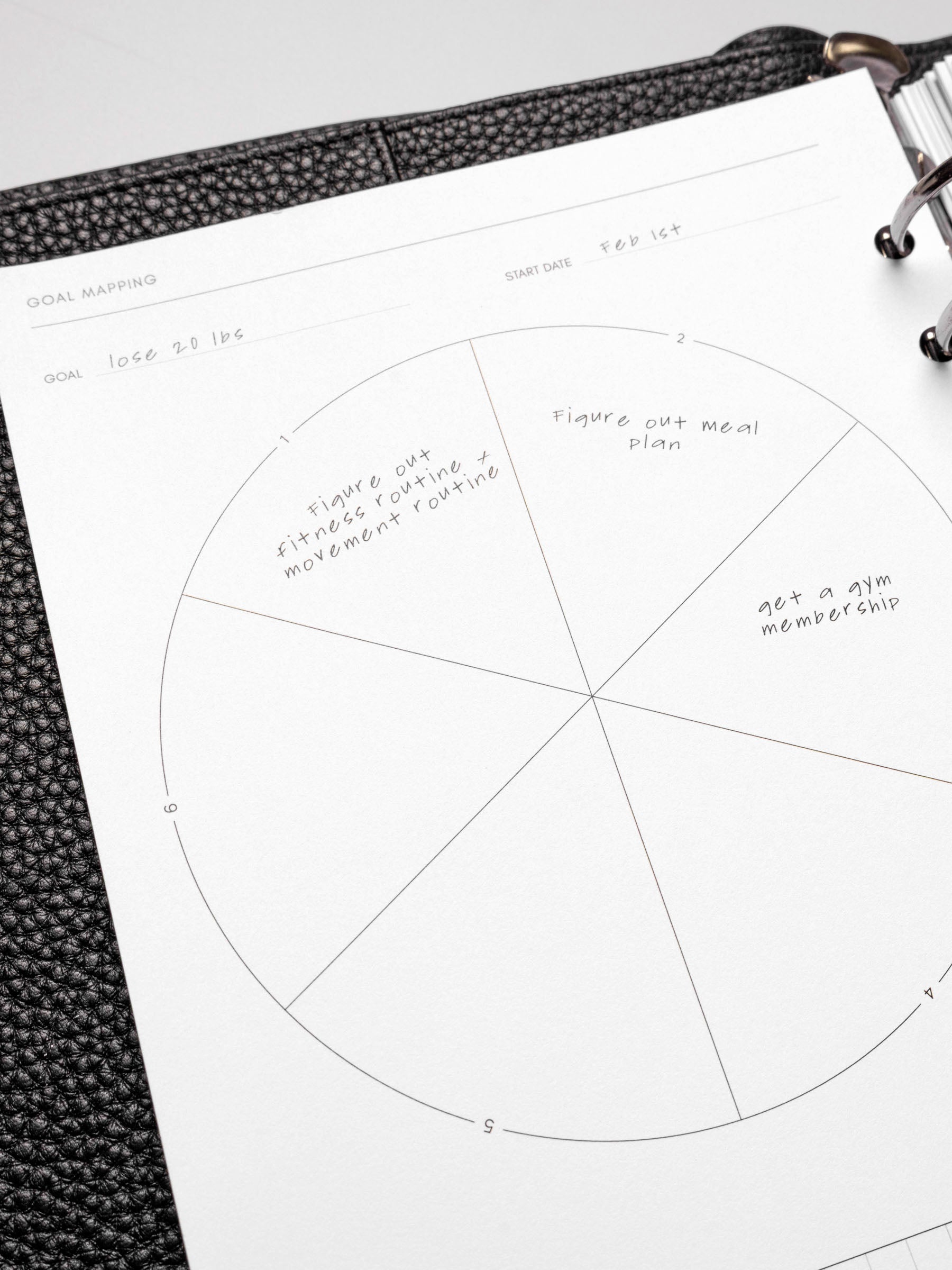 Close up of Goal Mapping inserts inside discbound planner and leather cover. 