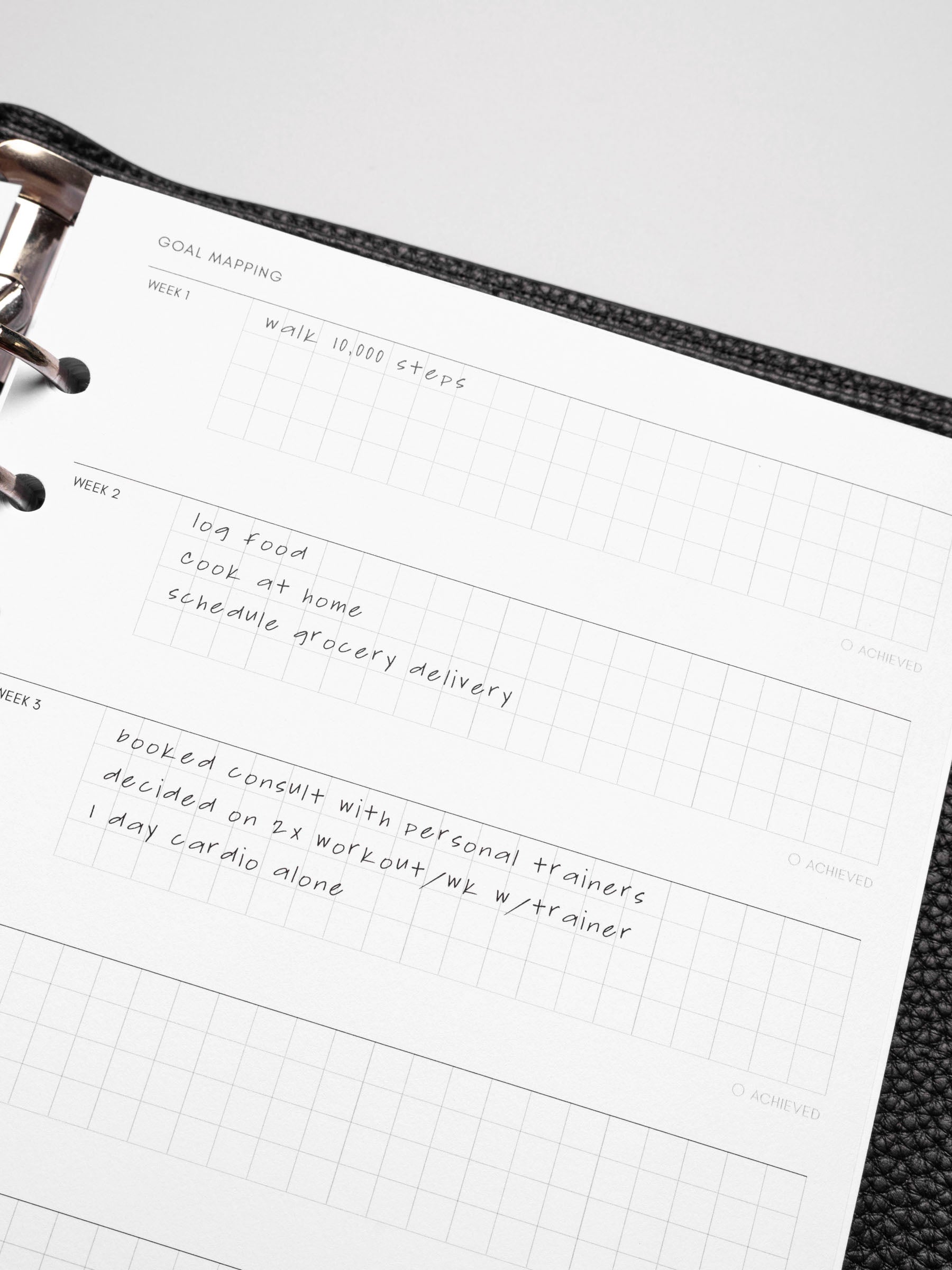 Close up of Goal Mapping inserts inside discbound planner and leather cover. 