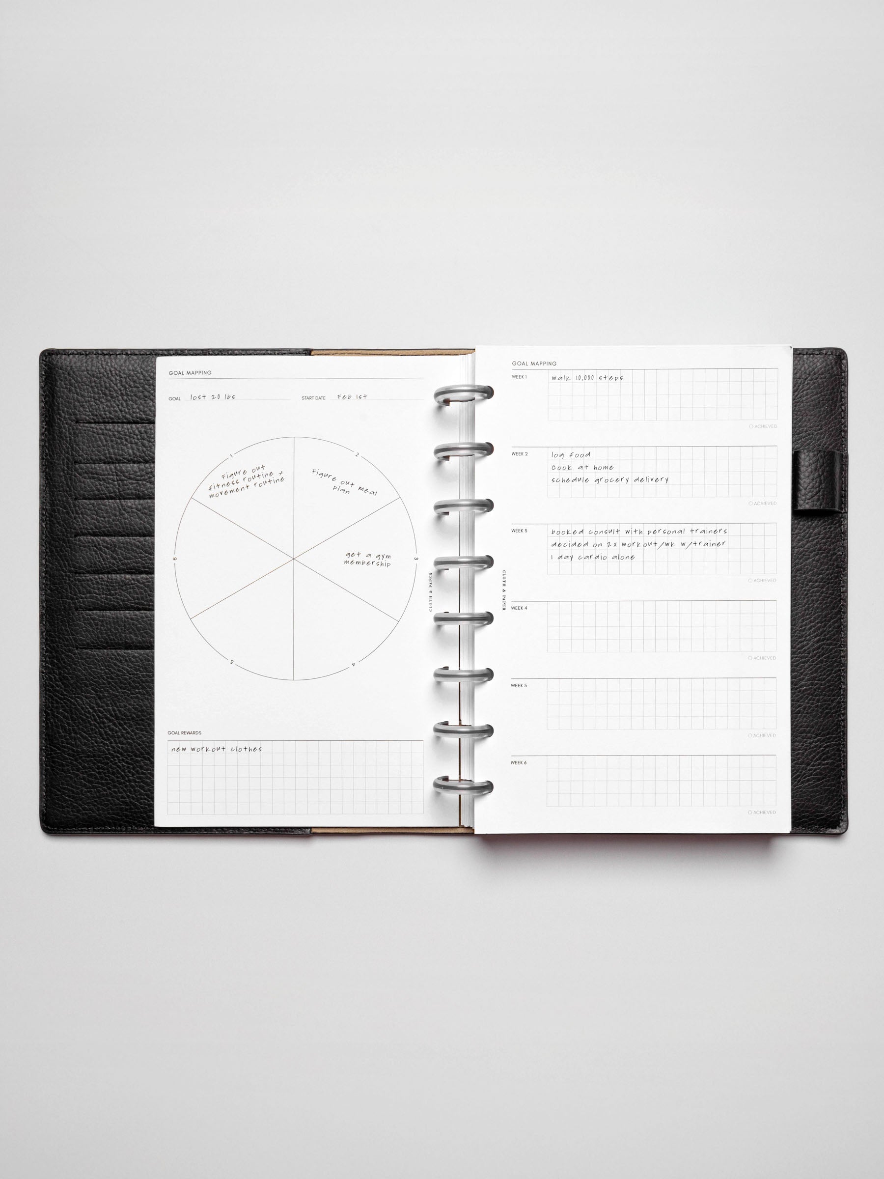 Insert in use inside a discbound planner system. Size shown is HalfLetter.